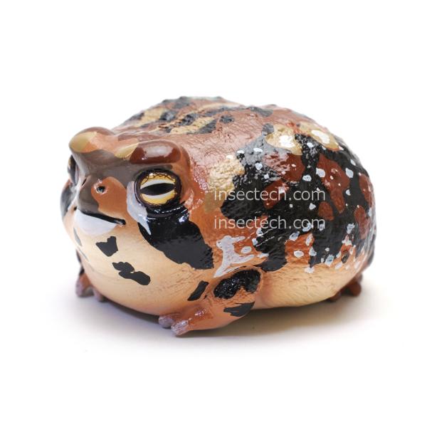 insectpins_ap-56