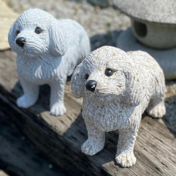 犬の置物 トイプードル マルチーズ 御影石 可愛い 置き物 玄関