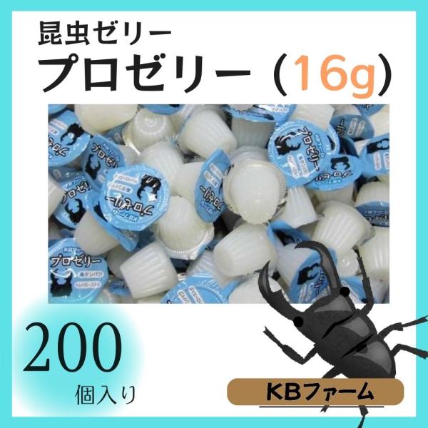 itigo-itie-y_3695-000827