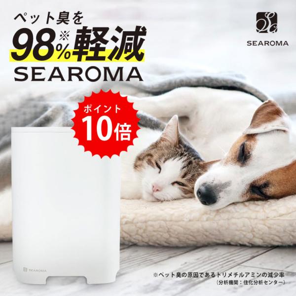 offer1999_taku0902