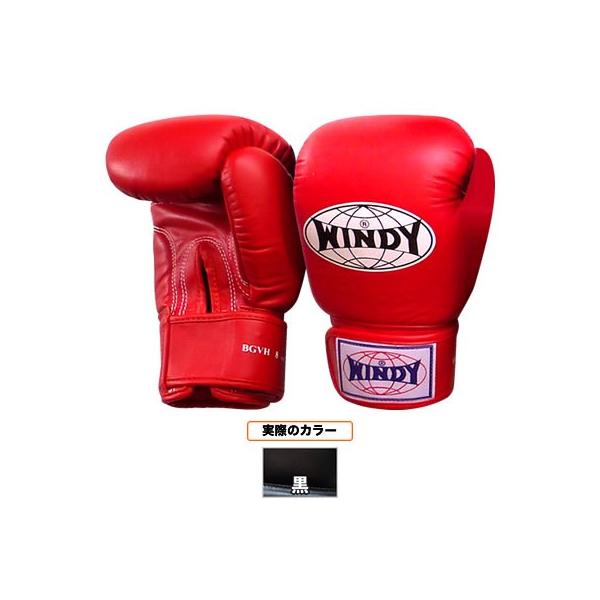 windy グローブ」の人気商品一覧 | 安い商品を通販サイトから探す