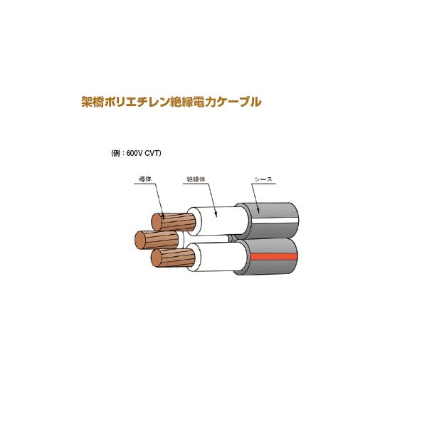 cvt14sq 1m」の人気商品一覧 | 安い商品を通販サイトから探す - 価格.com