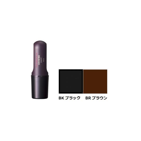 POLA（ポーラ） グローイングショット カラークイック ブラシ BR