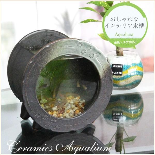 信楽焼 陶器水槽 陶器 ガラス 水槽 和風 インテリア メダカ鉢 金魚鉢