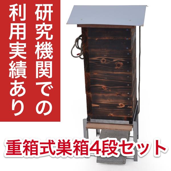 syumatsuyoho_hive4