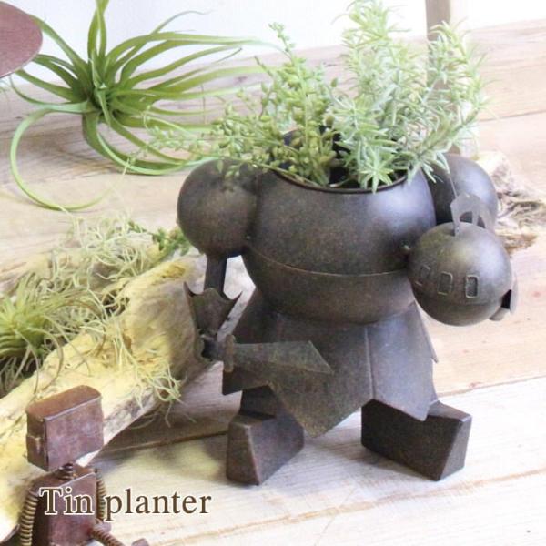 piglet_509282