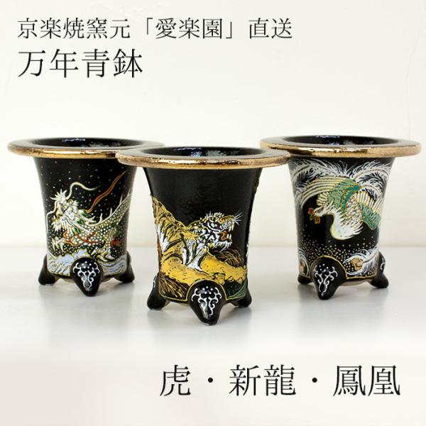 ◇京楽焼窯元「愛楽園」直送◇『万年青鉢（おもと鉢） 虎・新龍・鳳凰