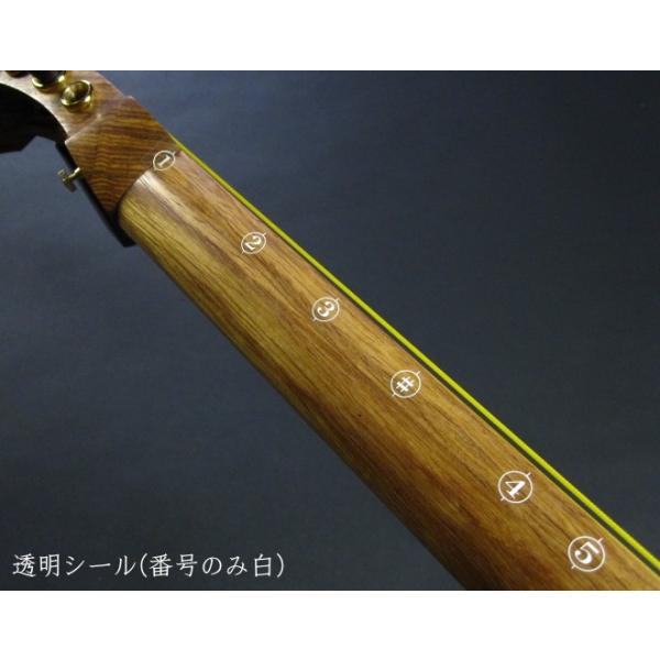 wagakki-ichiba_10000203