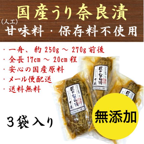 t-yokoo_yat-102