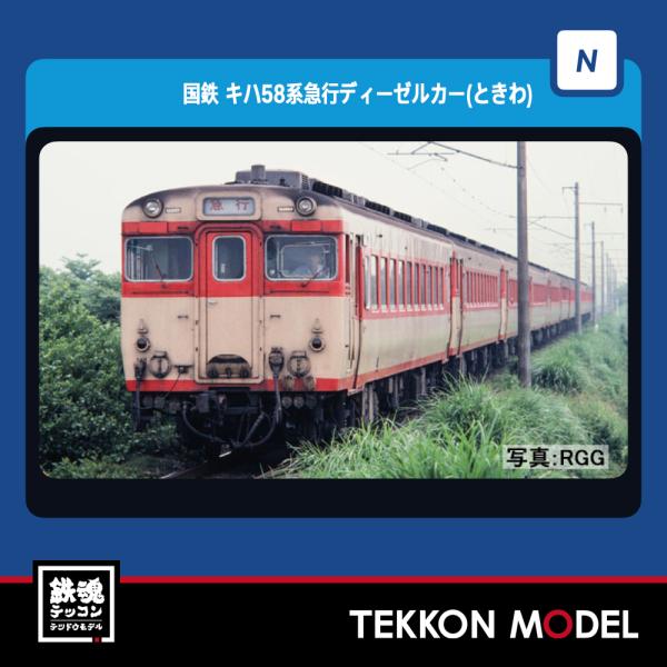 tekkonmodel_98494