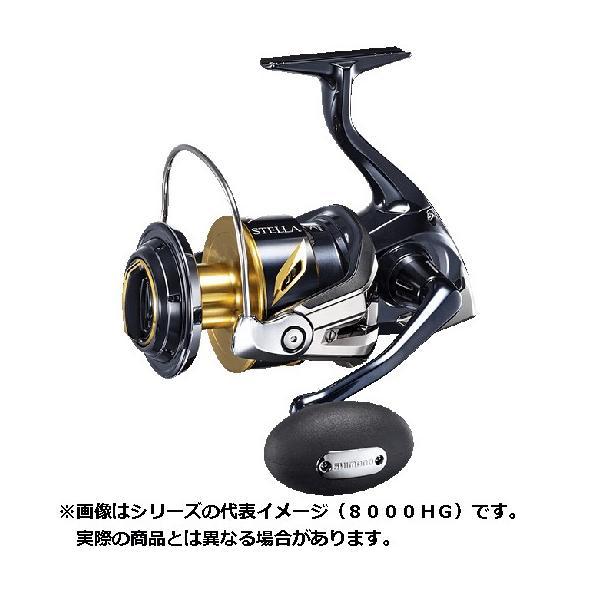 シマノ 19ステラSW8000HG シマノ（SHIMANO） リール 19 STELLA(ステラ