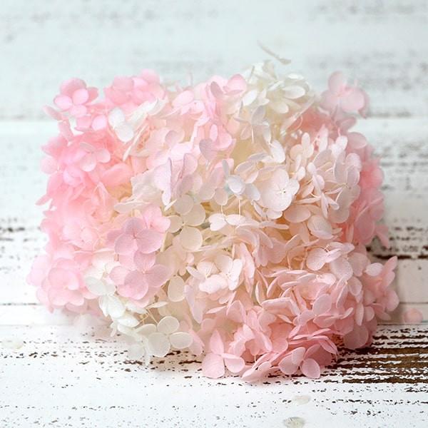 プリザーブドフラワー 花材 即日出荷 ソフトあじさいアナベル パルフェ