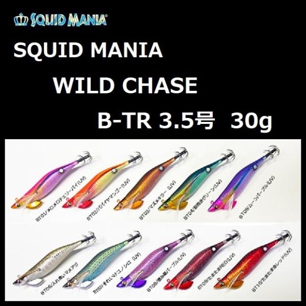 スクイッドマニア ワイルドチェイス B-TR 3.5号 30g / SQUID MANIA
