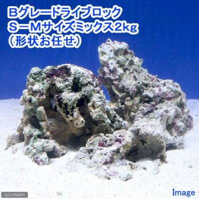 ライブロックのおすすめ人気商品一覧 通販 - Yahoo!ショッピング