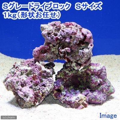ライブロックのおすすめ人気商品一覧 通販 - Yahoo!ショッピング