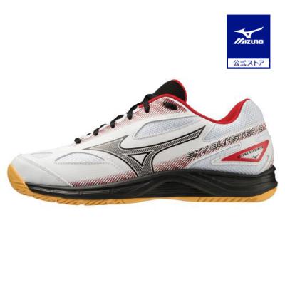 MIZUNO バドミントンシューズ（サイズ（cm）：23.5cm）｜バドミントン