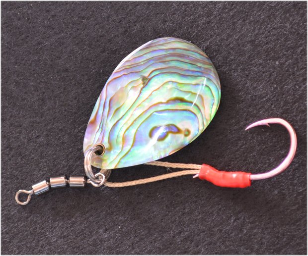 レイクトローリング,ビワマス便り7