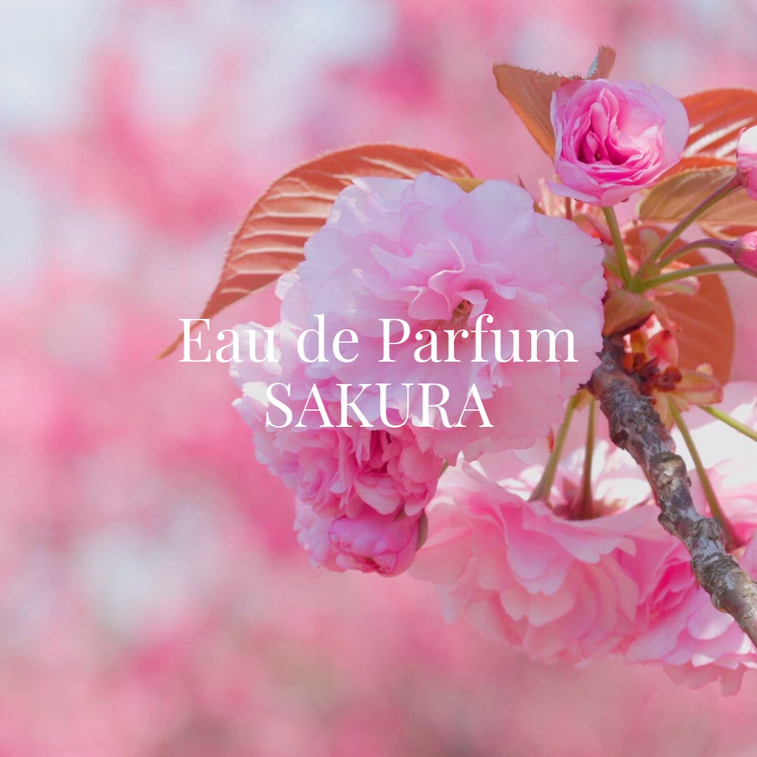 SAKURA – MIYA SHINMA