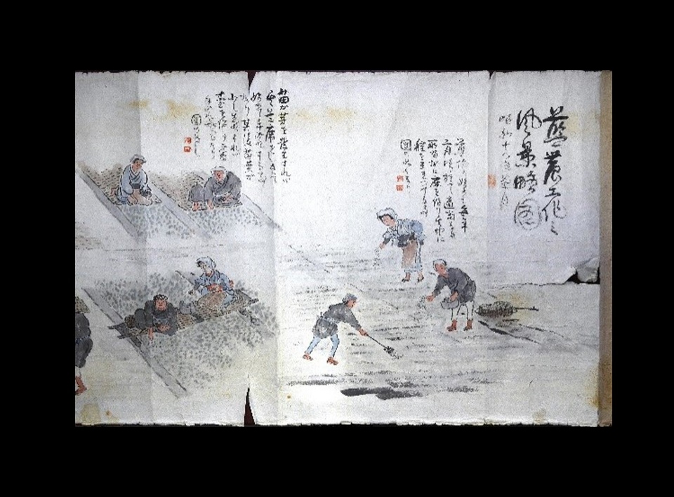 藍のふるさと 阿波 構成文化財｜日本遺産ポータルサイト
