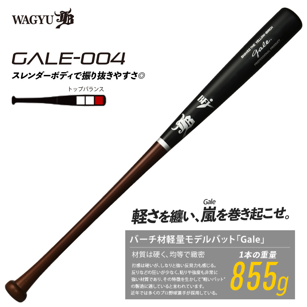 バーチ材硬式木製バット「ゲイル-Gale-」/BFJ対応 – ボールパーク