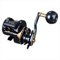 DAIWA 2025 SALTIGA IC