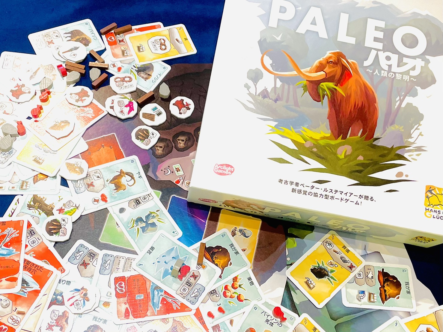 ゲーム紹介]パレオ～人類の黎明～ | JELLY JELLY CAFE ボードゲームカフェ