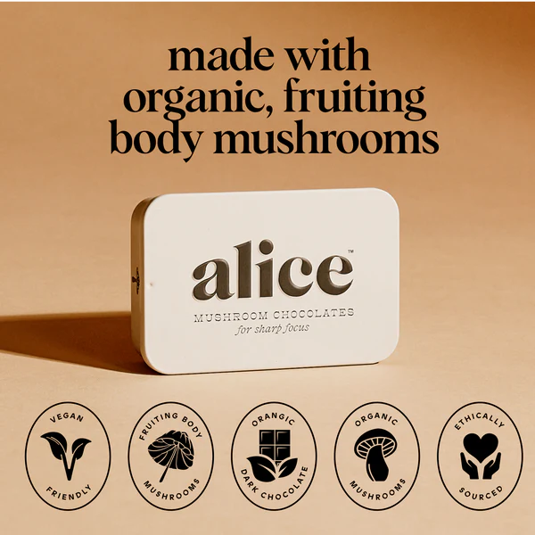 Mushroom Chocolate - Brainstorm – J. Horton