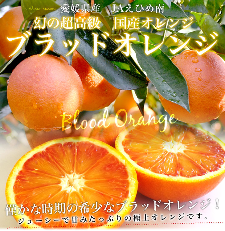 緊急スポット価格！】愛媛県産JAえひめ南 ブラッドオレンジ(モロ種