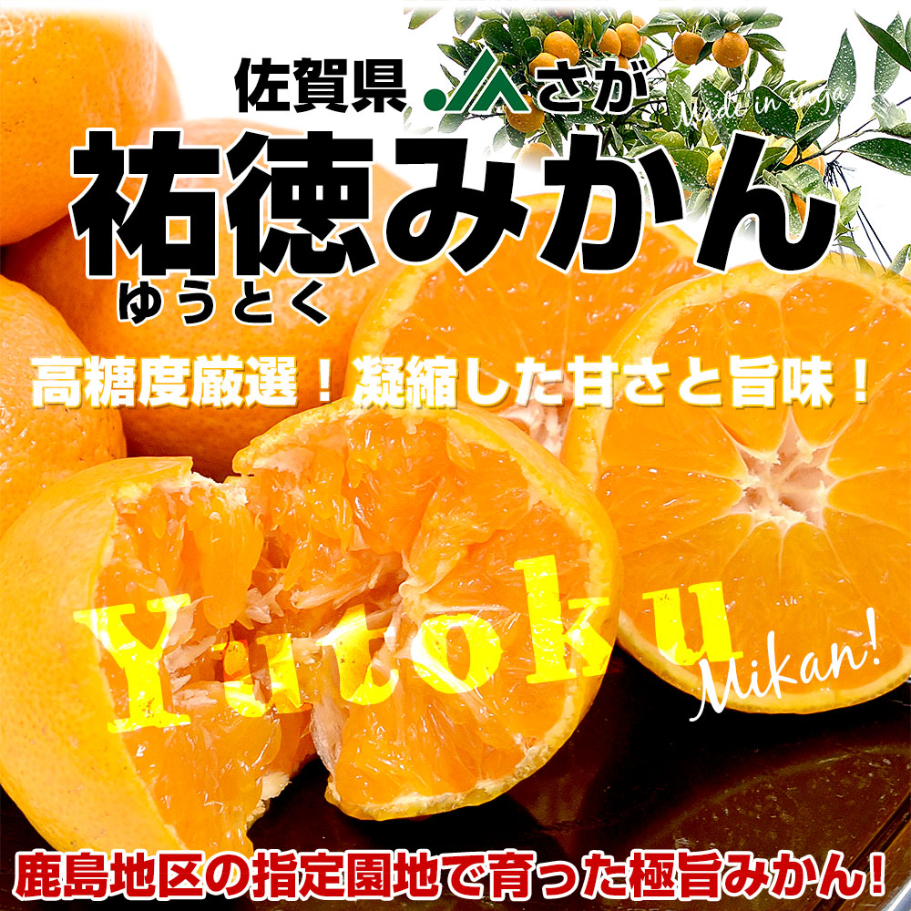 佐賀県より産地直送 JAさが 祐徳(ゆうとく)みかん 等級：一押し LからM