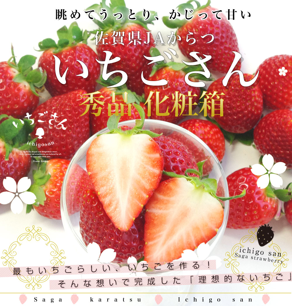佐賀県より産地直送 JAからつ 新品種いちご いちごさん 秀品 3Lサイズ