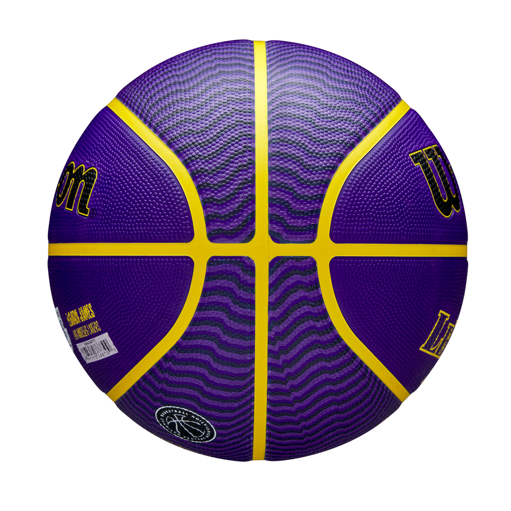 WZ4027601XB_3_7_NBA_PLAYER_ICO