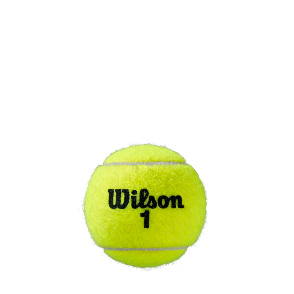 ROLAND GARROS CLAY テニスボール by Wilson Japan Racquet online