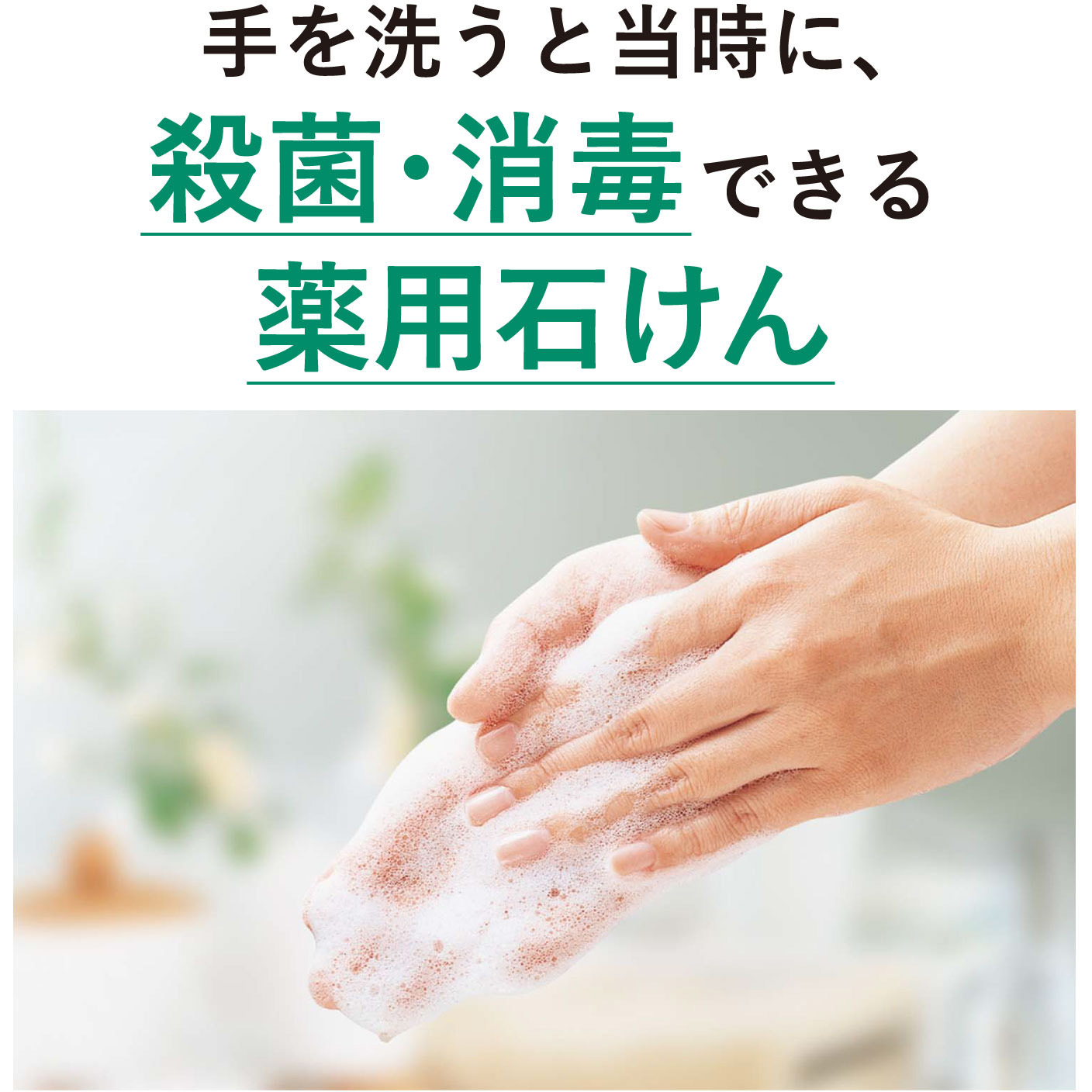 23854 シャボネット石鹸液ユ・ム SARAYA(サラヤ) 液体タイプ - 【通販