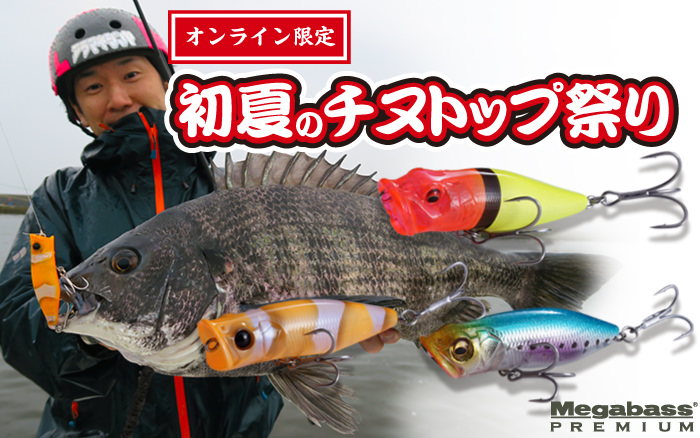 ルアー セット メガバス ジョイクロ ブルシューター ポップXなど