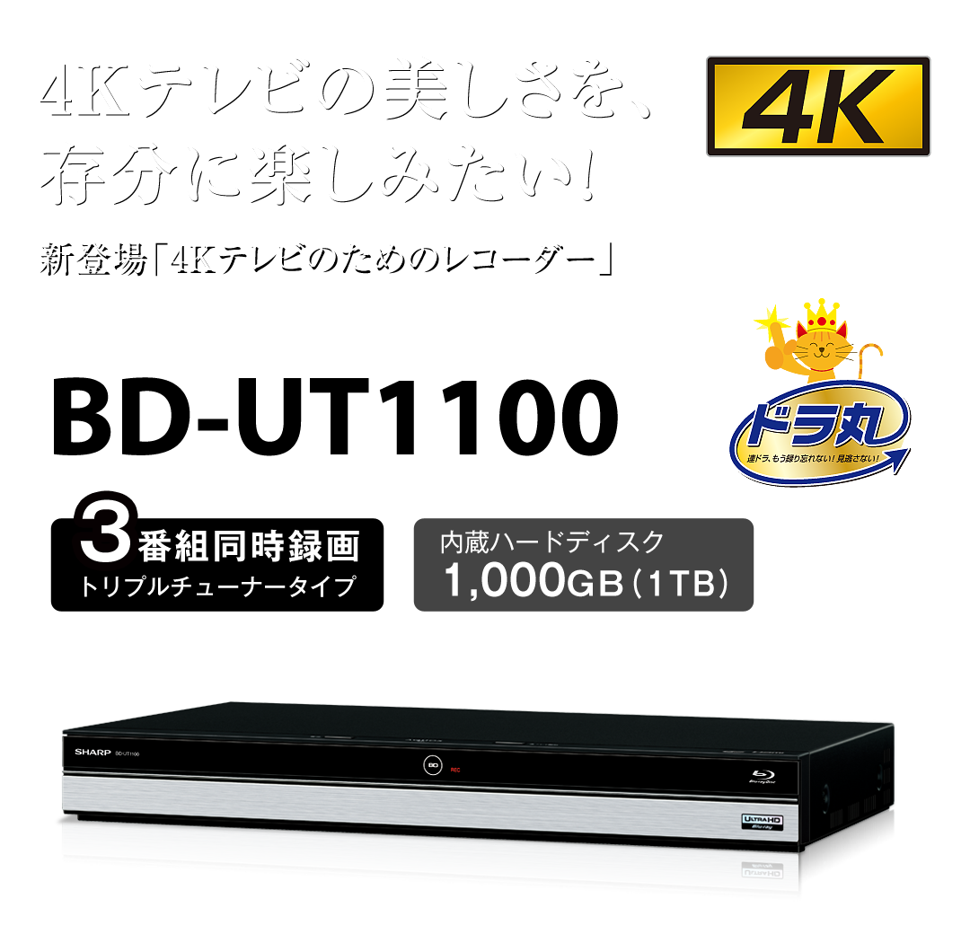 SHARP BD-NT1000 ブルーレイプレーヤー シャープ AQUOSブルーレイ BD