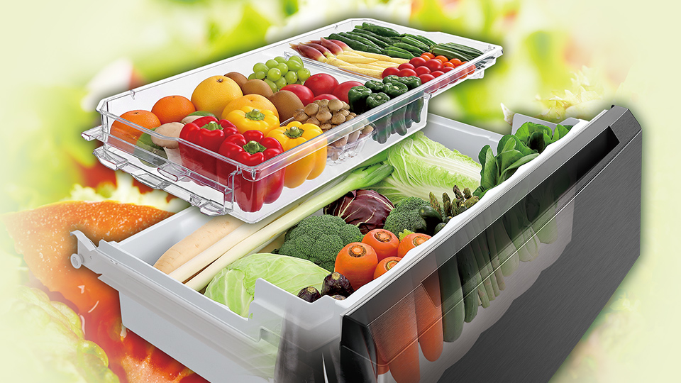 SJ-MF55P | 冷蔵庫：シャープ