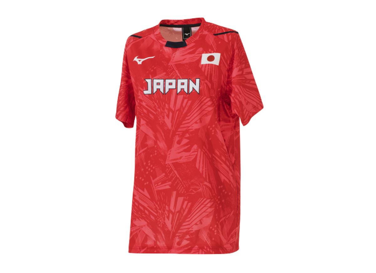 ダイバーシティグラフィック』デザインのバレーボール女子日本代表