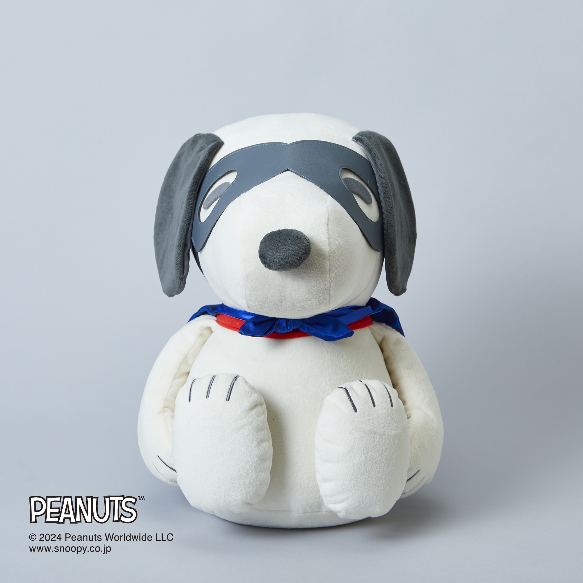 PEANUTS】スヌーピーメディシンボール ウェアグラースィズ|C3JHIB06