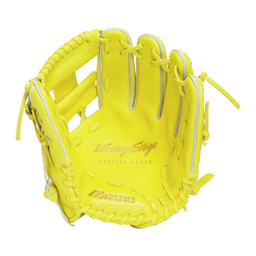 グローブ Victory Stage Winpulse II 2GN30240 Victory Stage Winpulse