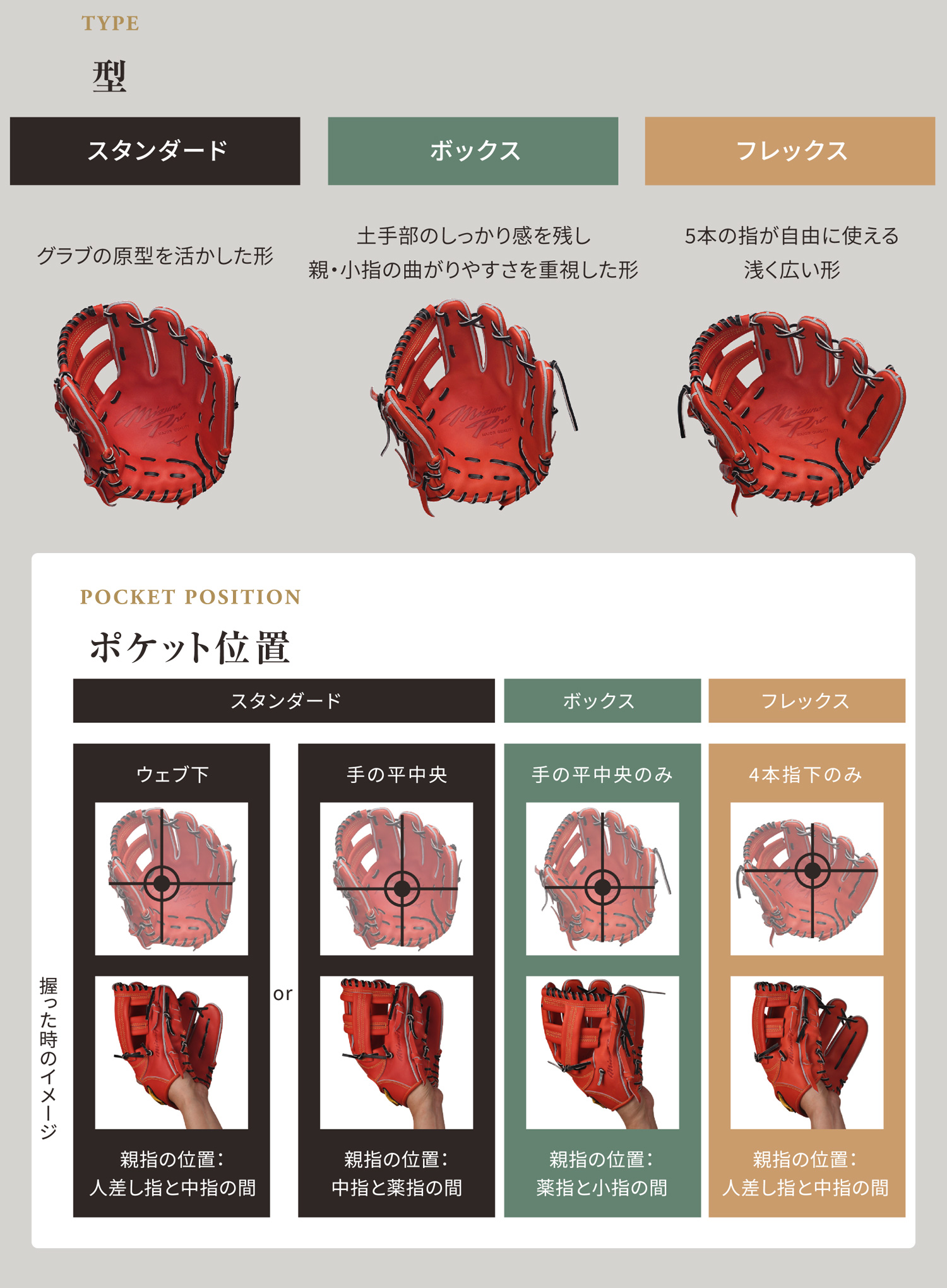 ゴールデンエイジ硬式用【グローバルエリート】Hselection SIGNA【内
