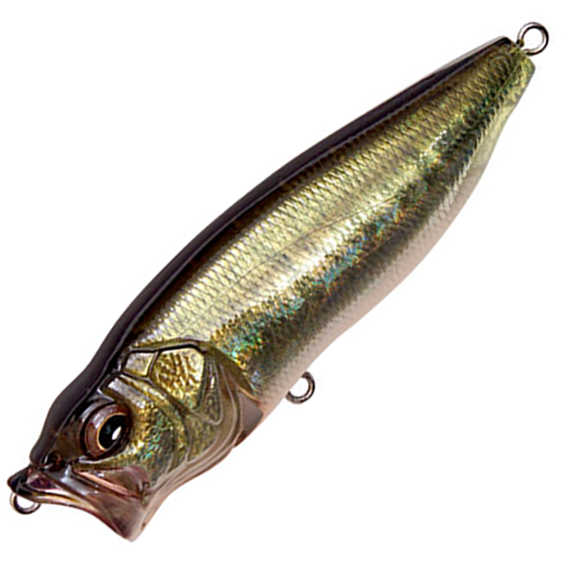 POPMAX [Brand New] – JAPAN FISHING TACKLE