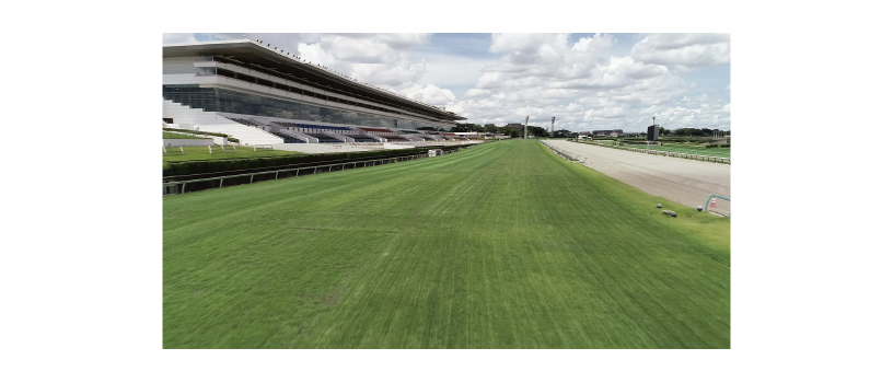 第3回中山競馬(2025年)