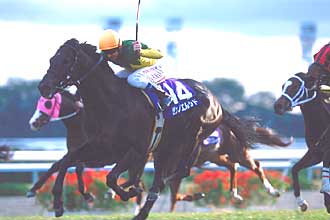 JRAホームページ｜データファイル｜競走成績データ