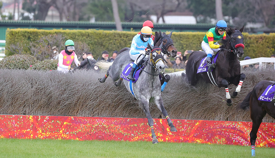 2026年中山大障害（J・GⅠ） JRA