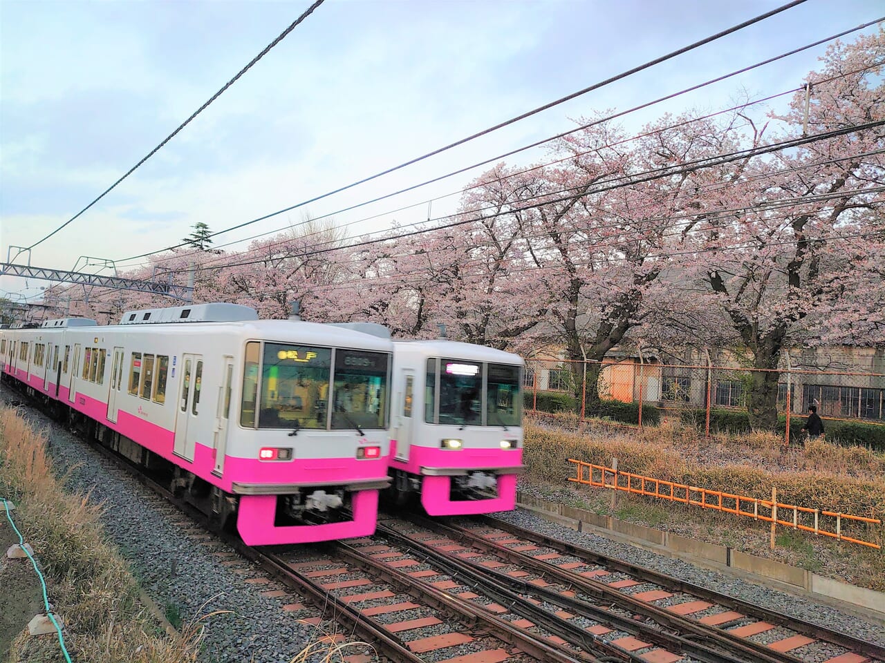 鎌ケ谷市】発売即日に完売となっていた「新京成24stationスタンプ