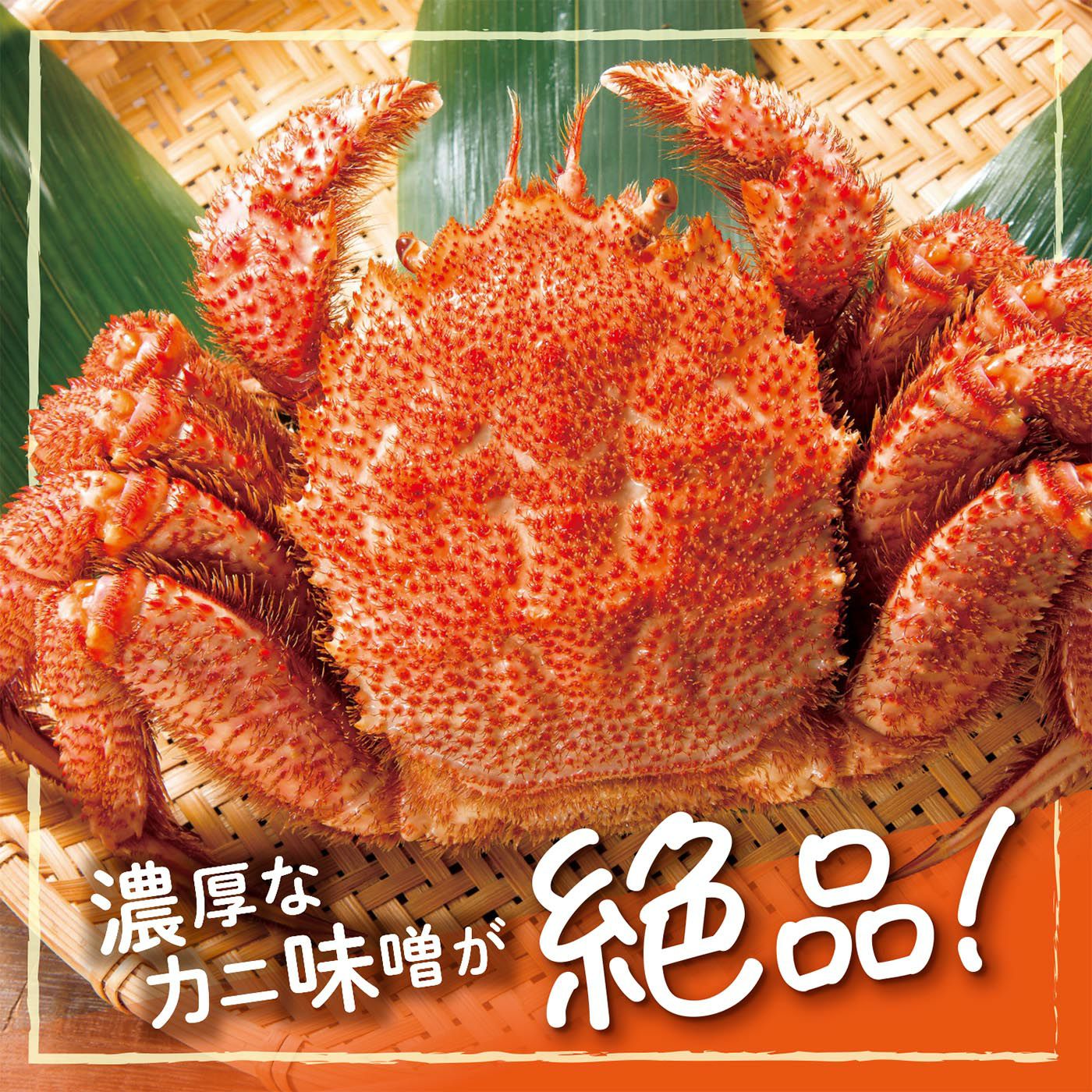 北海道オホーツク海産特大毛ガニ（姿） 約770g | 感動いちばオンライン