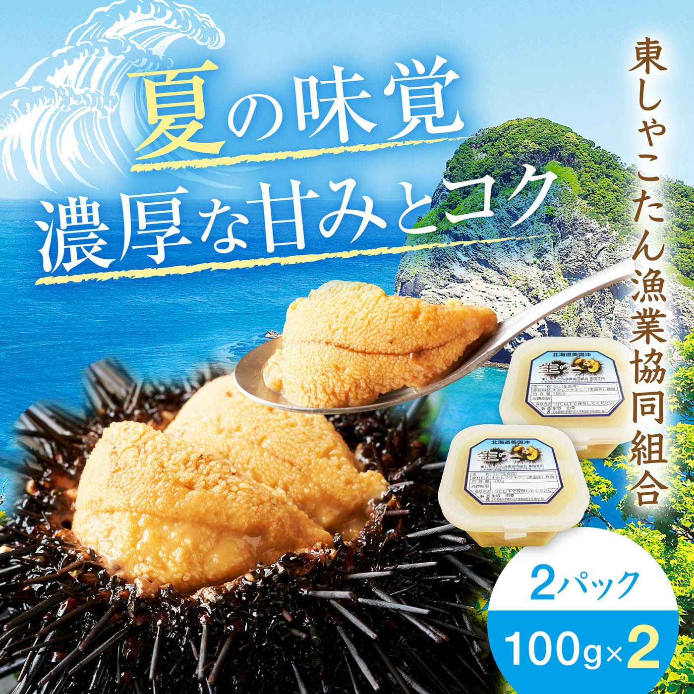 北海道積丹半島産塩水うに キタムラサキ 100g×2パック | 感動いちば