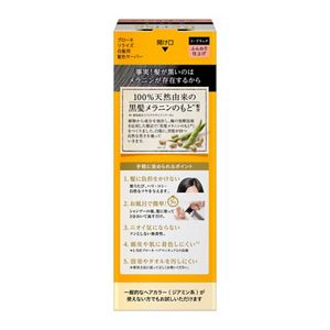 ブローネ ナチュリラ 色長持ちカラートリートメント ブラック 本体