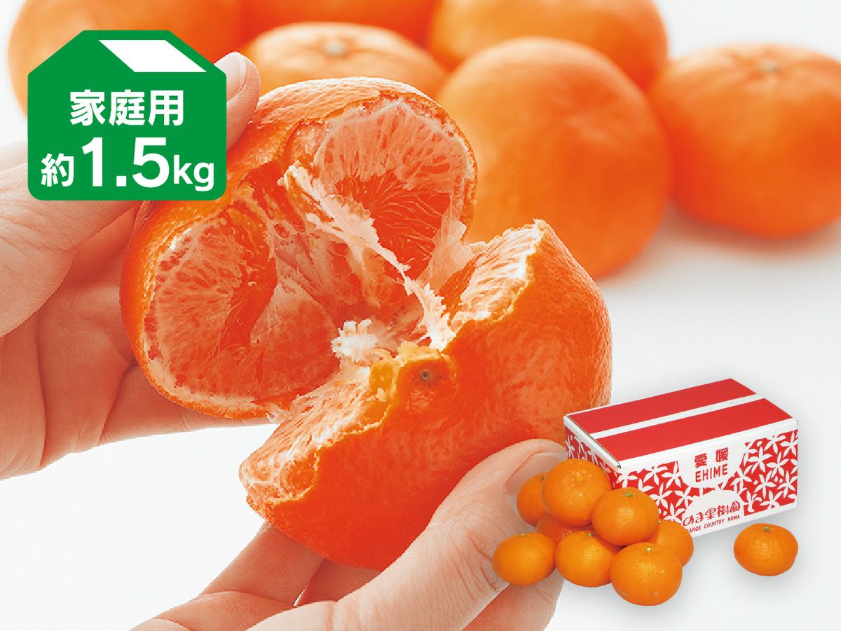 コタツでみかん「プチセット」 | のま果樹園