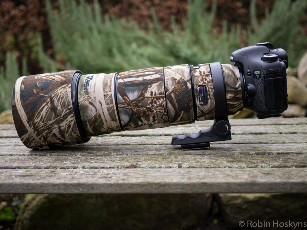 Sigma 120-300mm f/2.8 APO EX DG OS HSM Review | Kalahari Blog